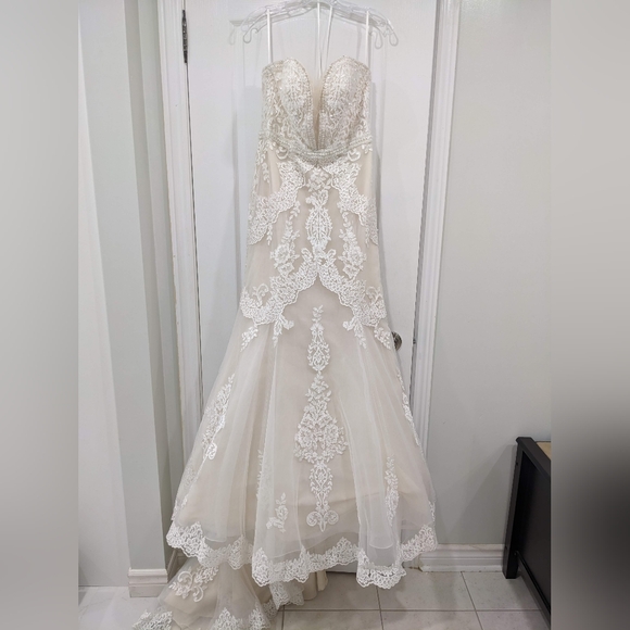 Brand New Wedding Dress! Size 10, champagne undertone. - Picture 1 of 15